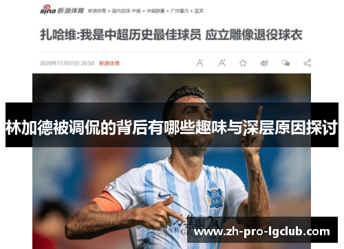 林加德被调侃的背后有哪些趣味与深层原因探讨