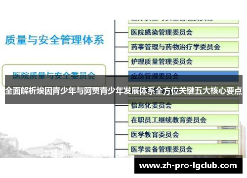 全面解析埃因青少年与阿贾青少年发展体系全方位关键五大核心要点