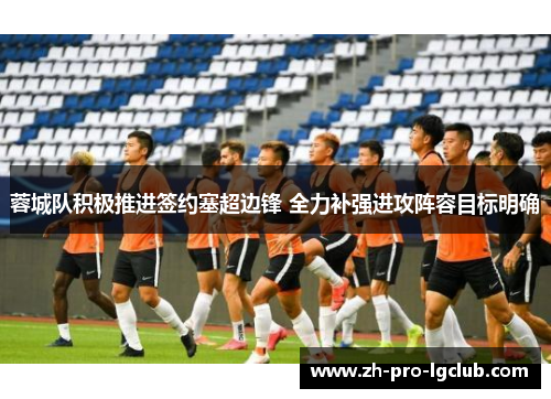 蓉城队积极推进签约塞超边锋 全力补强进攻阵容目标明确 蓉城队积极推进签约塞超边锋 全力补强进攻阵容目标明确