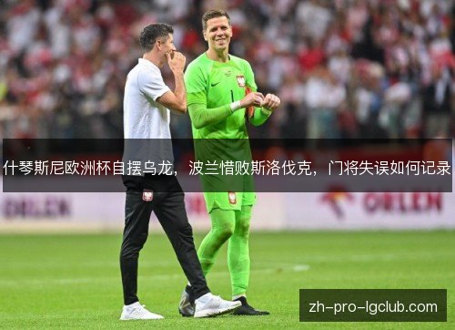 什琴斯尼欧洲杯自摆乌龙，波兰惜败斯洛伐克，门将失误如何记录